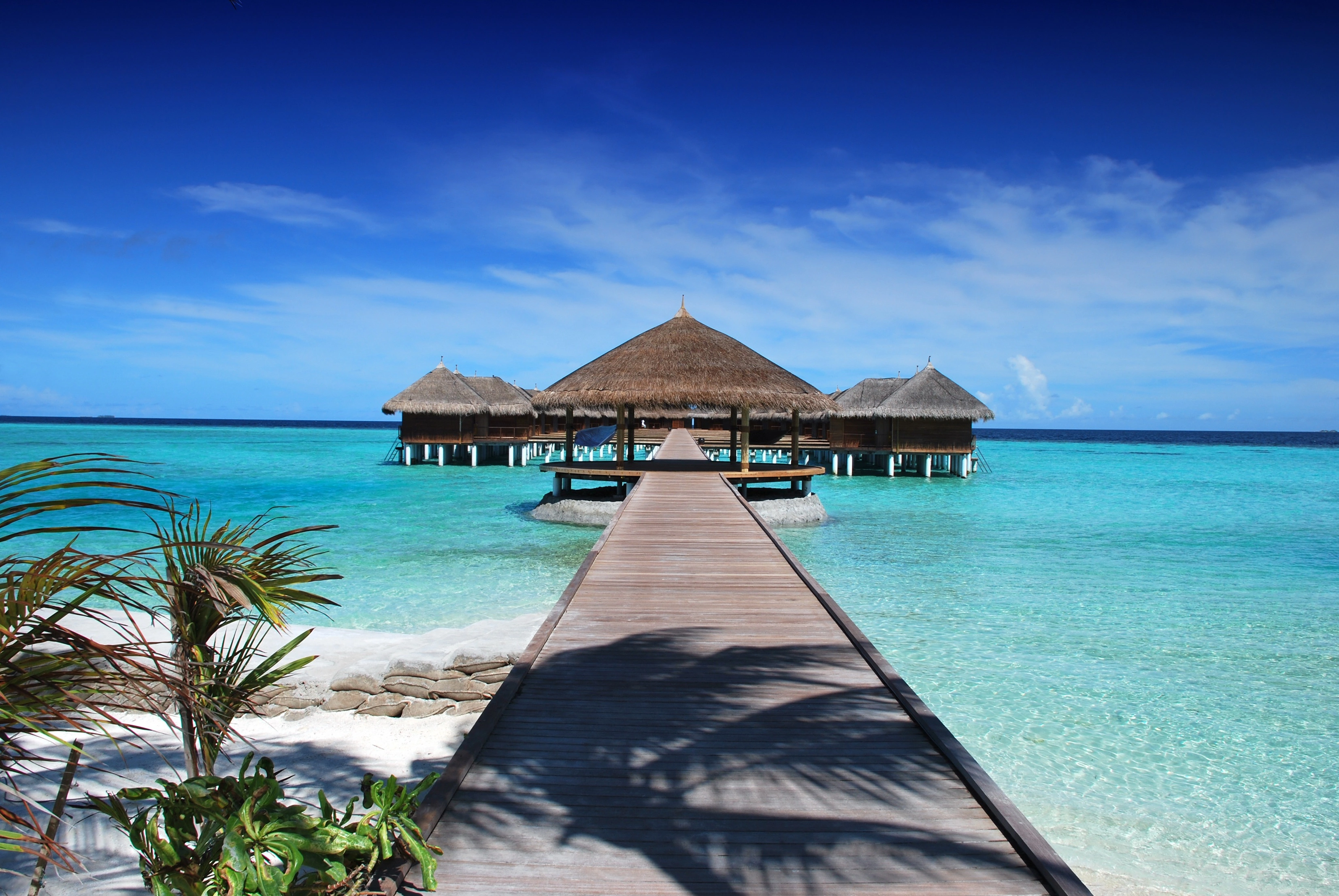Luxury untamed view